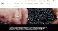 Desktop Screenshot of napavalleywineacademy.com